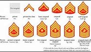 Easiest Way To Learn The Marine Corps Ranks - in 1 Day