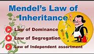 Mendel's Law of Inheritance | 3 Mendelian Law of Inheritance | ABT Gurukul