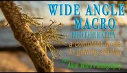 Wide Angle Macro Photography - a complete guide