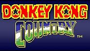 Donkey Kong Country - Game Boy Color - Full Playthrough