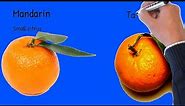 Mandarin Health effects; Mandarin vs Tangerine