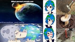 Earth-Chan Meme Compilation||#1