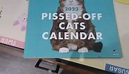2023 Pissed-Off Cats Calendar, Funny Cats Calendar Family Planner from Jan. 2023 - Dec. 2023, Cartoon Cat Hangable Wall Calendar with Cats Calendar Image Gift for Cat Lovers (1pack)