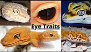 The 9 different eye TRAITS in Leopard GECKOS