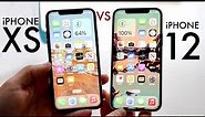 iPhone 12 Vs iPhone XS In 2023! (Comparison) (Review)