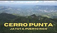 The Tallest Mountain in Puerto Rico - Cerro Punta | Jayuya, Puerto Rico