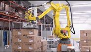 Premier Tech Automated Palletizing with FANUC M-410iC Robot
