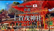 Kamigamo jinja Shrine in Kyoto, Japan | The Oldest Shrine in Kyoto｜Travel guide [4K]