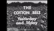 1961 PROFILE OF AMERICA'S COTTON BELT & COTTON INDUSTRY 87764