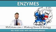 Enzymes - GCSE Biology (9-1)