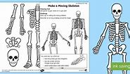 Making a Moving Skeleton Worksheet