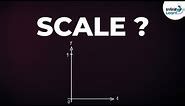 How do we Estimate the Scale of a Graph? | Don't Memorise