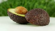 avocado-rotates-on-a-green-grass-background-4k-vi-2022-02-09-07-26-37-utc (1).mp4