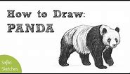 How to Draw a Panda | Realistic, Step by Step