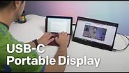 HP EliteDisplay S14 USB-C portable display review: Perfect for Surface Go