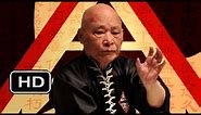 Hung Gar Fighting Techniques: Grandmaster YC Wong Lessons