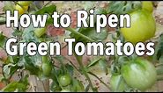 How to Ripen Green Tomatoes