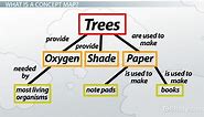 Concept Map | Definition, Design & Examples