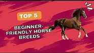 Top 5 Beginner-Friendly Horse Breeds