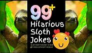 Slow Down for Laughs The Ultimate Sloth Joke Collection!