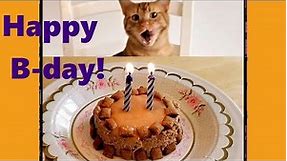Birthday Cake for Cats! (super easy, no-bake recipe)