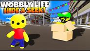 Hide and Seek in Wobbly Life City!!