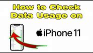 How to check data usage on iPhone 11