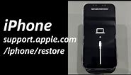 How to Fix iPhone support.apple.com/iphone/restore (without computer) | Four Steps