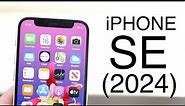 iPhone SE (2024): Features, Price, Specs!