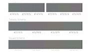 Pantone Cool Gray 9 C Color | Hex color Code #75787B  information | Hex | Rgb | Pantone