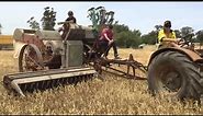 Vintage Harvest 2015 Australia