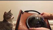 How to Install the Bubble Capsule on Your Cat Backpack Space Backpack