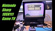 Sharp Game TV 19SV111 With Nintendo NES