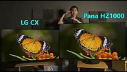 LG CX vs Panasonic HZ1000 (2020) OLED TV Comparison