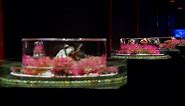 Video. Shanghai Art Aquarium celebrates Japanese culture