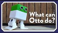 What can Otto DIY robot do?
