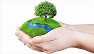 World Environment Day 2021: Theme, quotes, slogans, posters, greetings
