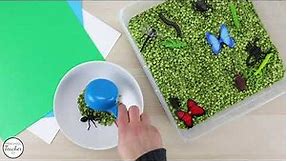 Insect Theme Preschool Lesson Plans