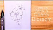 How to Draw Cherry Blossom (Sakura) : Step by Step for Beginners