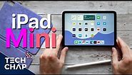 iPad Mini (2021) Review - It's not about size, it's how you use it!