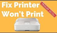 How to Fix A Printer That Wont Print