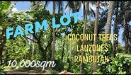 FARM LOT 10sqm madaming tanim