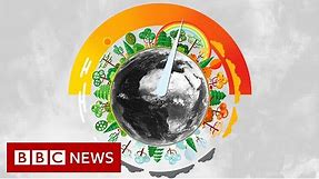 What's the difference between weather and climate? - BBC News