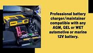 DEWALT Professional 30 Amp Battery Charger, 3 Amp Battery Maintainer with 100 Amp Engine Start DXAEC100