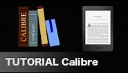TUTORIAL - Calibre - Descarga y mete libros en tu ebook