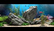 3D Fish Aquarium - 21:9 [Live Wallpaper] - (1080p)
