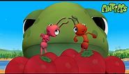 Hooked | Funny Cartoons For All The Family! | Funny Videos for kids | ANTIKS 🐜🌿
