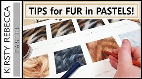 How to draw/paint FUR in PASTELS // Step by step tutorial!