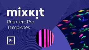 Free Premiere Pro Phone Number Template Downloads | Mixkit