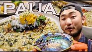 Catch and Cook Paua(abalone) in New Zealand